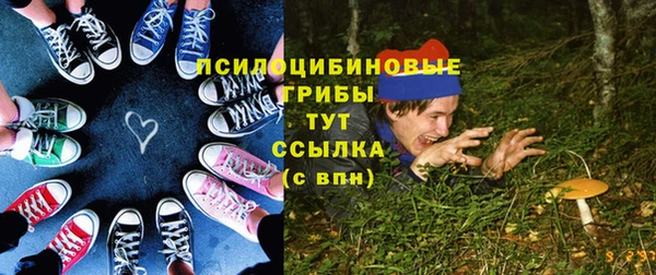 сатива Магас