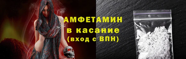сатива Магас