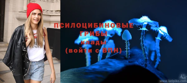 сатива Магас