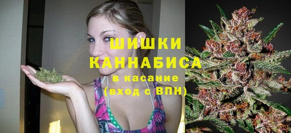 сатива Магас