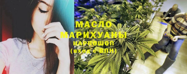 сатива Магас
