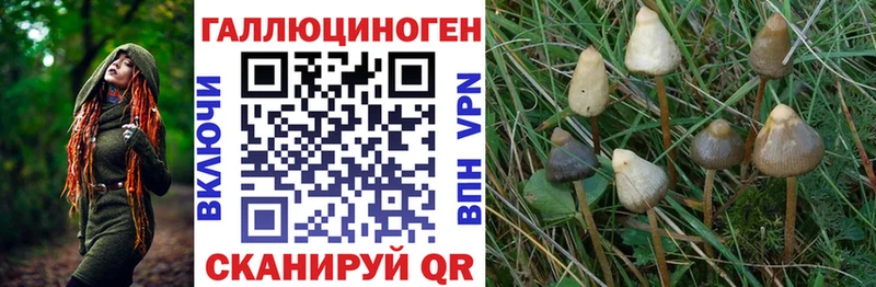 Галлюциногенные грибы мухоморы  Купить  Павловск 